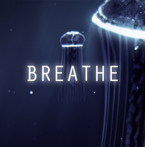 Adult Education Block - BREATHE Postmortem